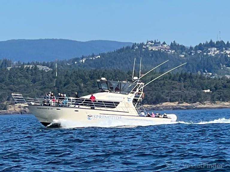 MARAUDER IV photo