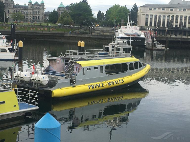 OCEAN MAGIC II photo