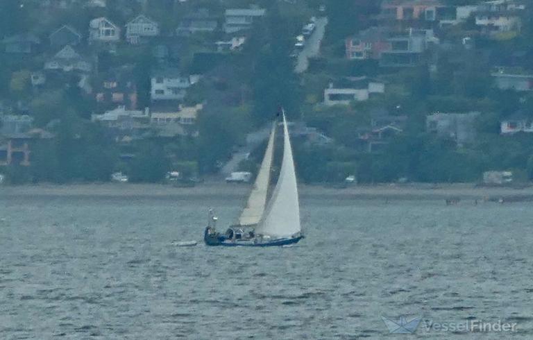 DUTCH WANDERER photo