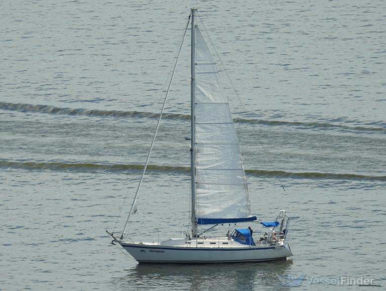 MARINGOUIN photo