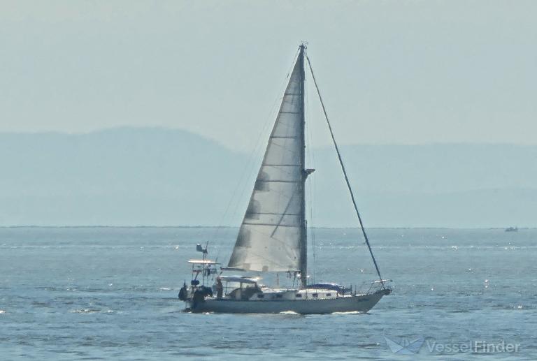 SEA REACH photo
