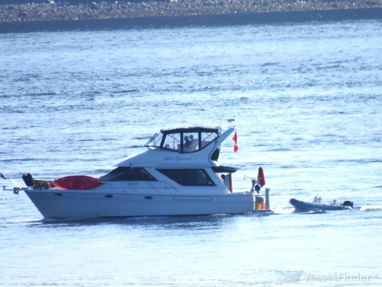 SHELLS DIAMOND photo