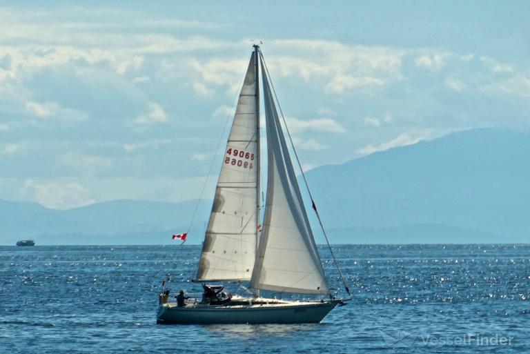 VOLITATION photo