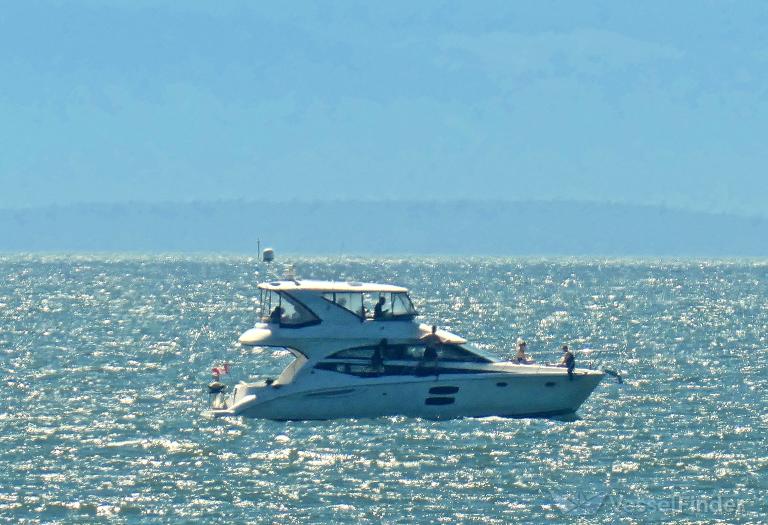 WAVE PAVER III photo