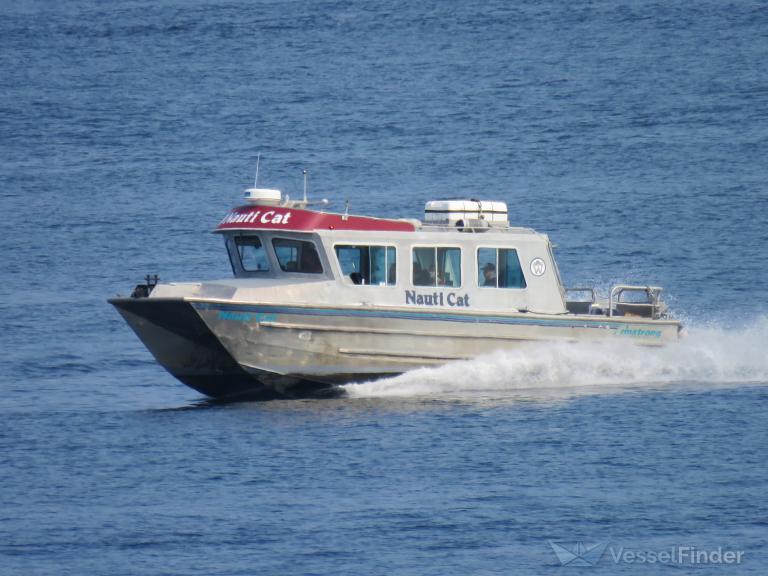 NAUTI CAT photo