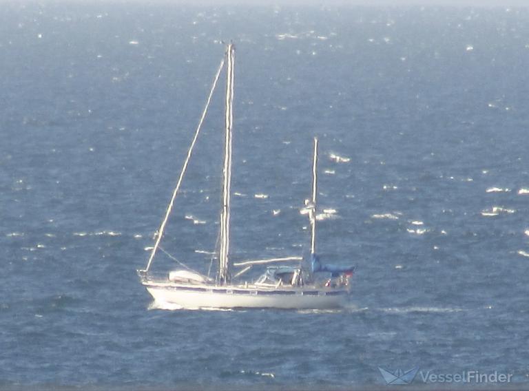 ARBUTUS BEACH photo