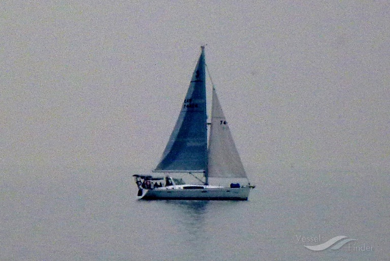 CURIO photo