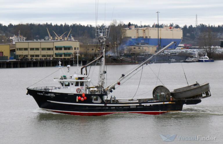 VIKING CAVALIER, Fishing vessel - Details and current position - MMSI ...
