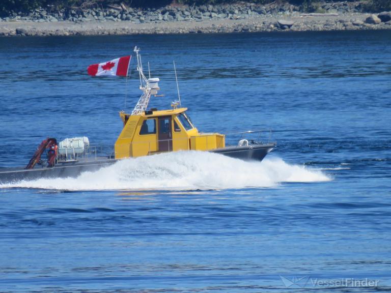 BLACK DUCK YAG-660 photo