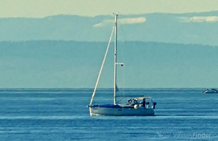 BALAENA II photo