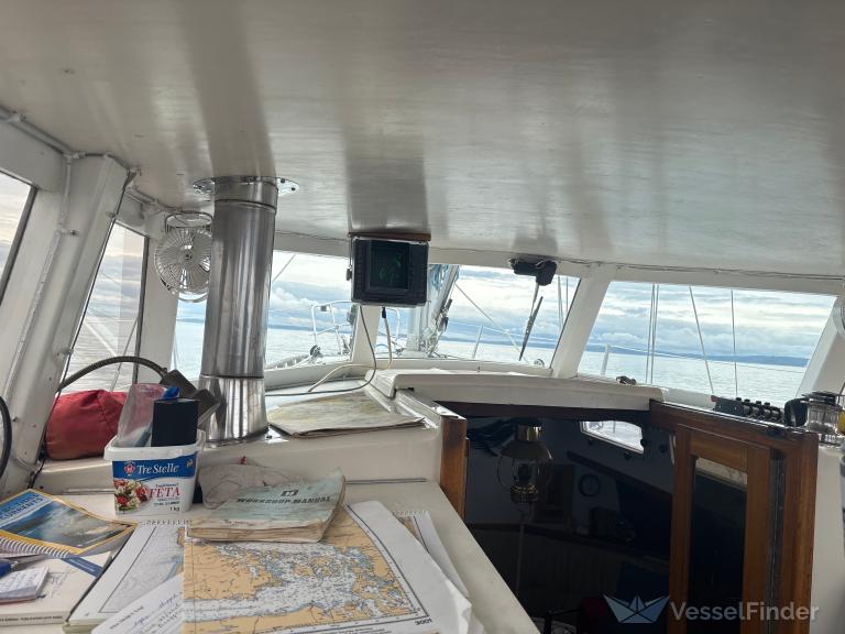 SHADOW CATCHER photo