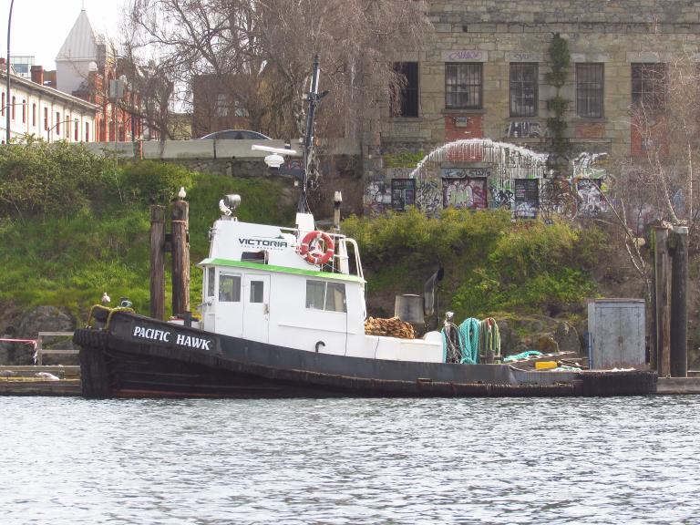 pacific hawk catamaran