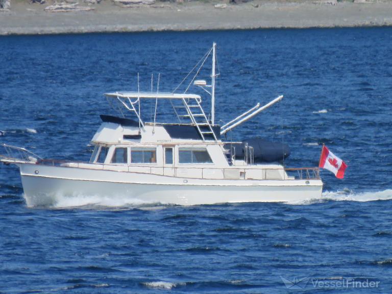 COMOX ROGUE photo