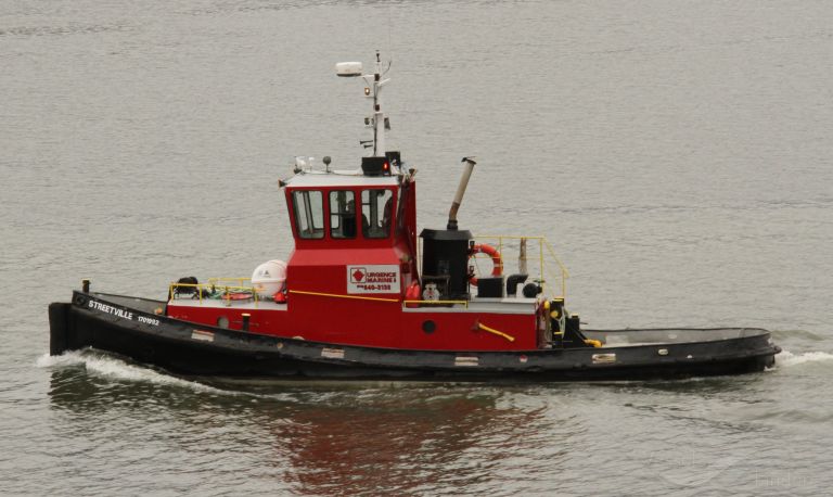MISS SEA photo