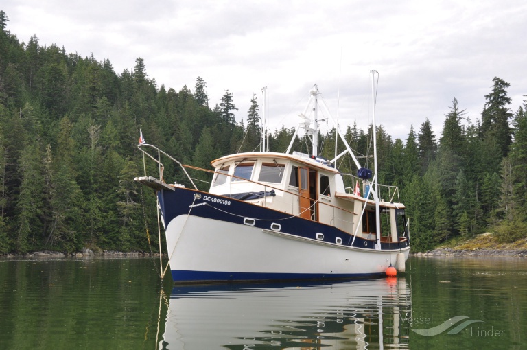 PHOENIX HUNTER photo