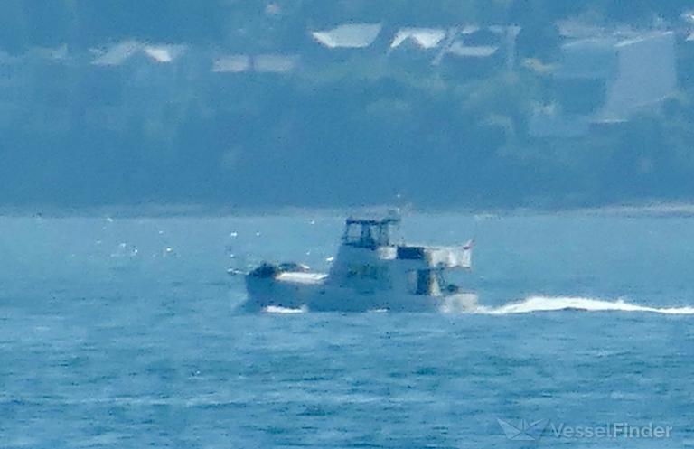 SOUTHERN BELLE photo