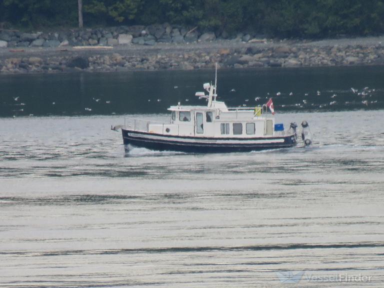 NORDIC SAGA photo