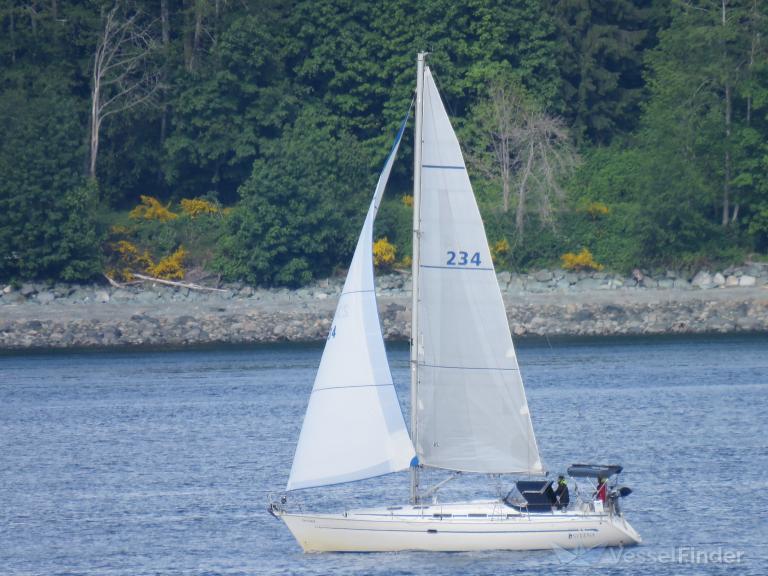 SYRENA photo