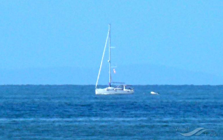 KOHILO photo