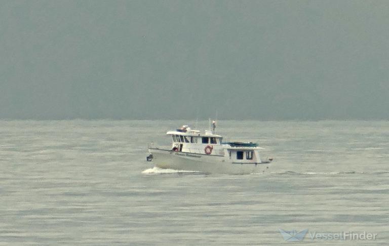 OCEAN ROMANCER photo