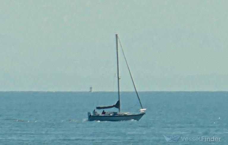MARIANNE photo