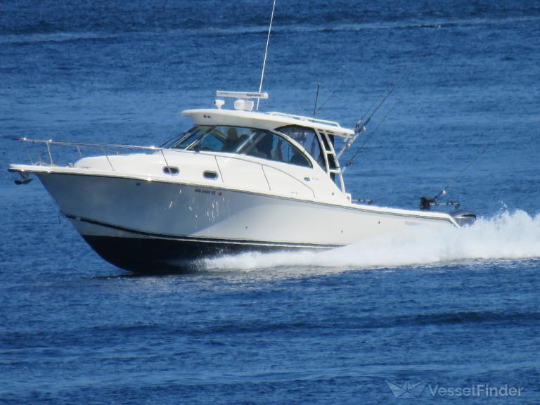 SIR REEL VI photo
