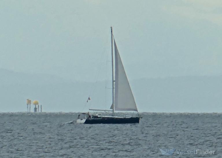 INDIGO SEA photo
