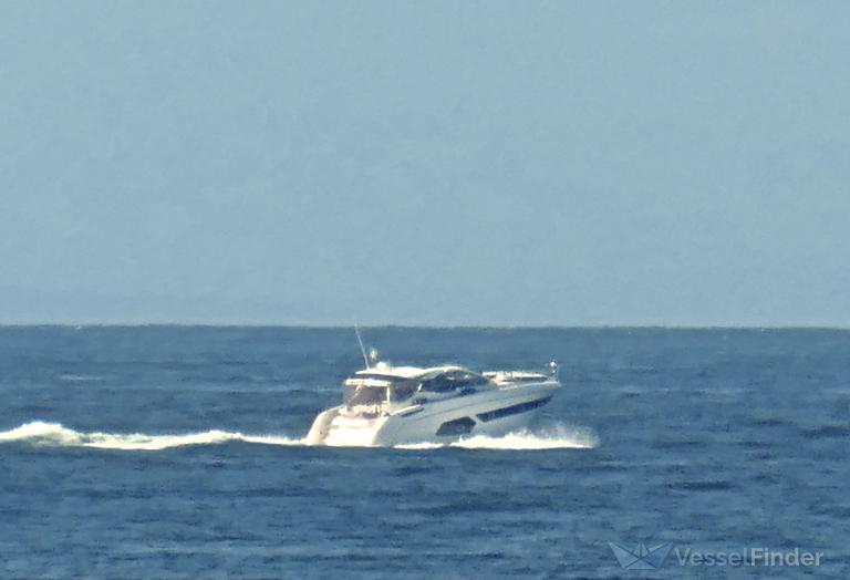 VELOCITA photo