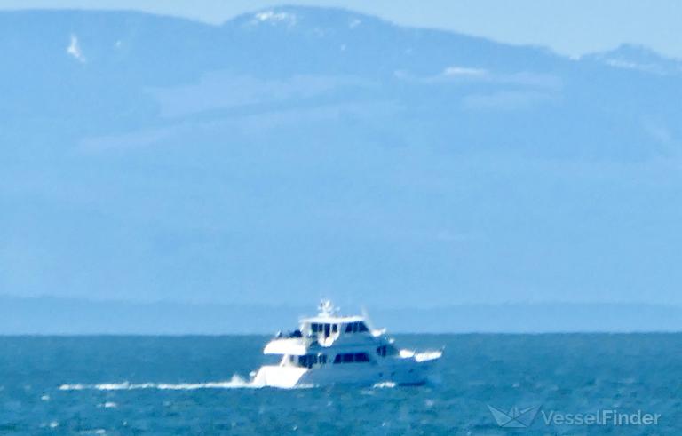 AURORA II photo