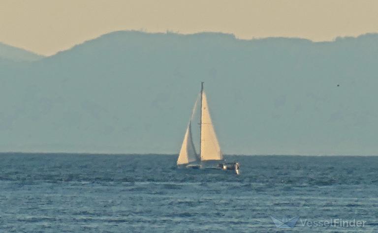 SV ROCINANTE photo