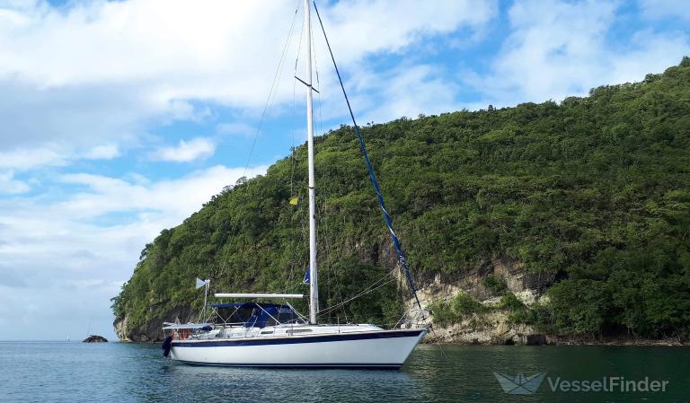 WINDWARD LADY photo