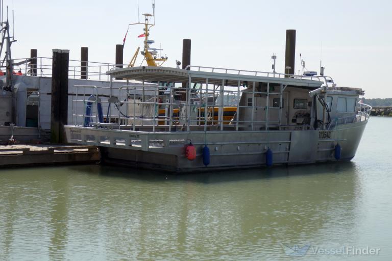 PEGASUS 888