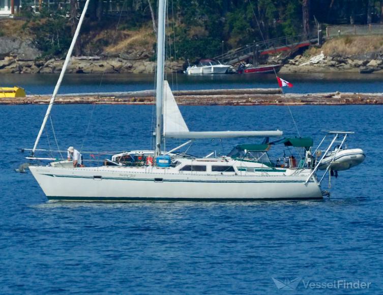 PACIFIC RAT photo
