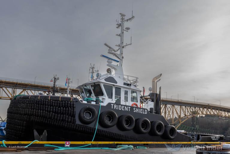 TRIDENT SHIELD photo