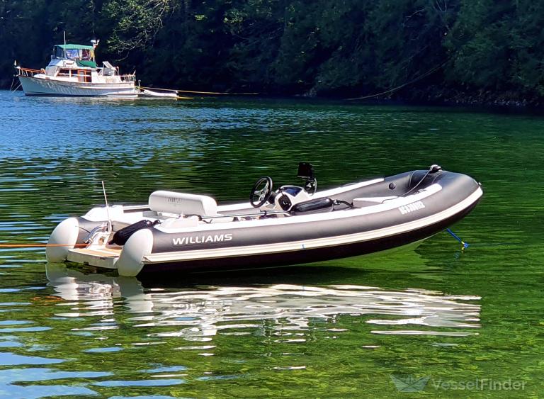 CHASE ONE TENDER photo