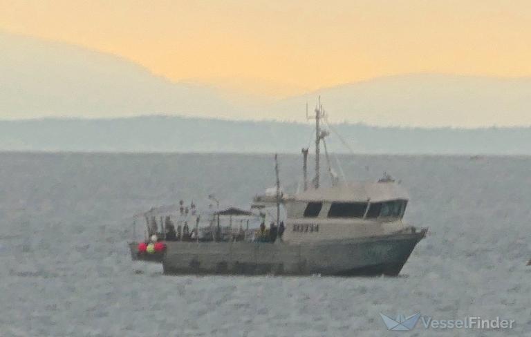 GYPSEA photo