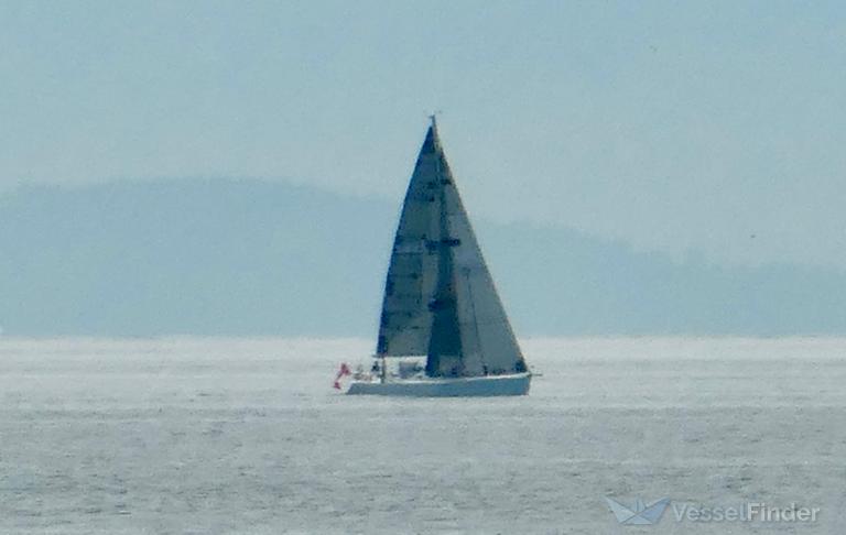 VOLANTE photo
