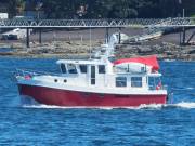 CARDINAL-II