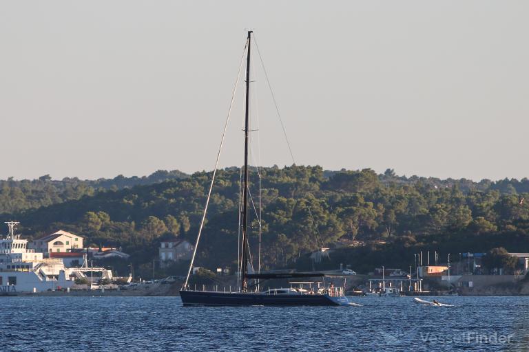 SY NEW DIMENSION photo