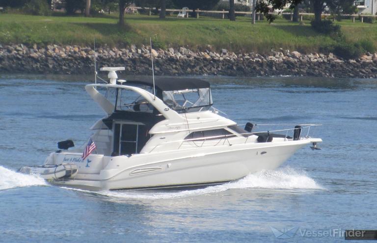 JUST A FLUKE II photo