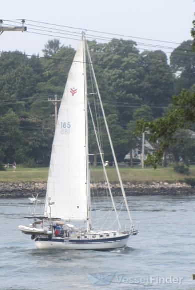 MINX V42-SAIL185 photo