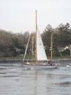 SAPHAEDRA