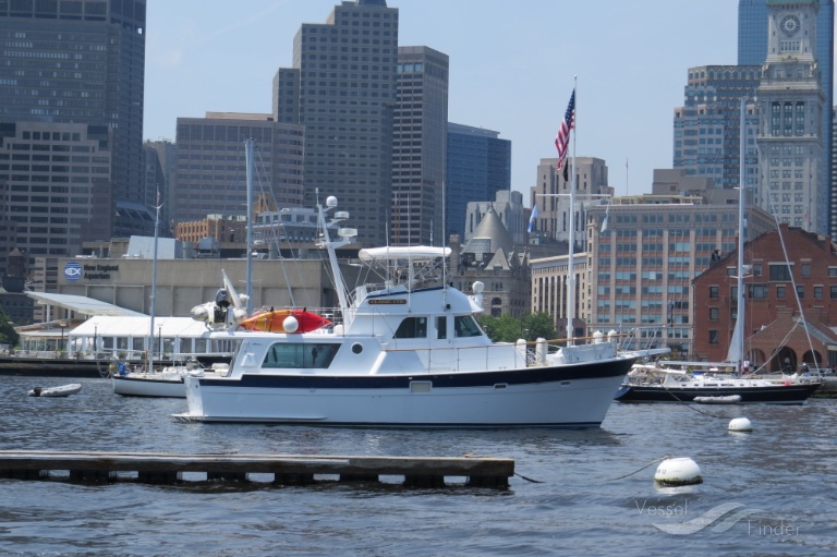 CHICKEN NOODLE photo