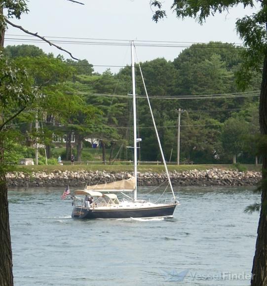 SUMMER SOLSTICE photo