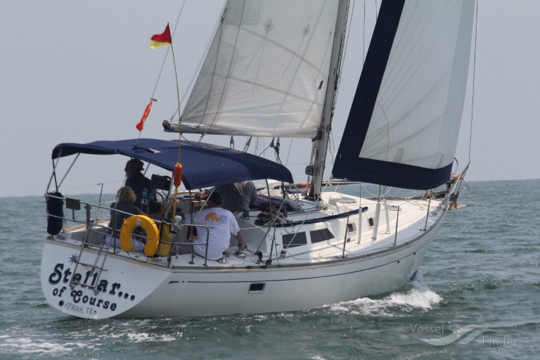 STELLAR OF COURSE photo