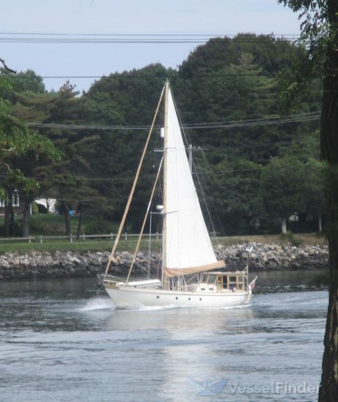 HADHAMMER photo