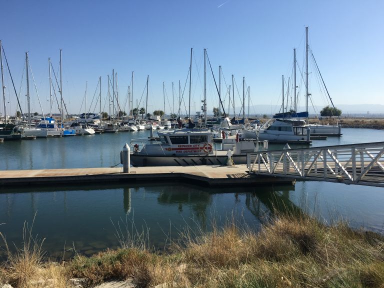 SEQUOIA GUARDIAN photo