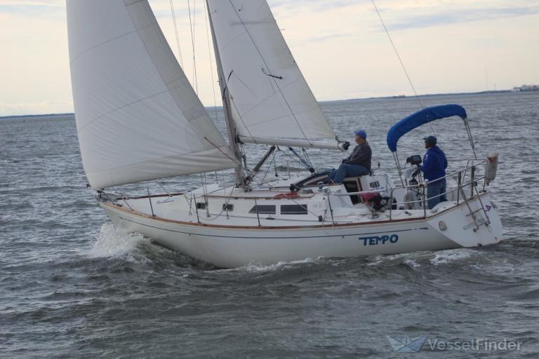 TEMPO photo