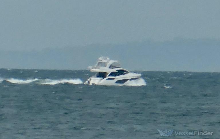 STARGAZER photo