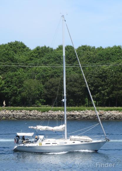 THE OPTIMIST II photo